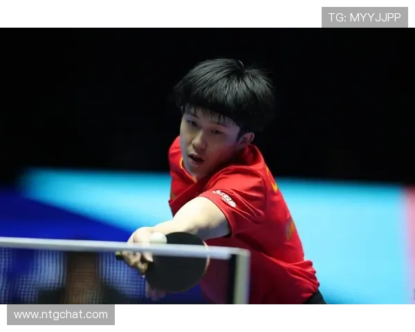 男单16强出炉 王楚钦张本领衔